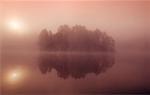 Misty Lake at Dawn