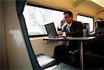 Businessman on Train