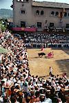 Bull Fight Spain