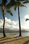 Hammock on Beach Princeville, Kauai, Hawaii, USA