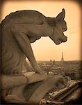 Gargouille (Chimera) avec vue sur Paris de Notre Dame cathédrale France