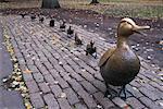 Statue of Duck and Ducklings Boston Public Garden, Boston Massachusetts, USA