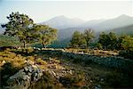 Stone Wall and Landscape Balagne, Corsica France