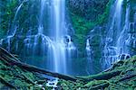 Lower Proxy Falls Oregon, USA