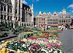 Belgium, Brussels, Grand Place, flower market