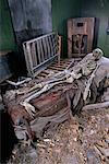 Skeleton in Haunted House