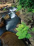 Tallulah River Waterfalls Tallulah George State Park Georgia USA