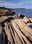 Precambrian Bedrock Acadia National Park Maine, USA