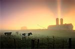 Lever du soleil sur des terres agricoles près de Upton (Québec), Canada