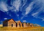 Granaries Alberta Canada