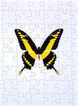 Butterfly and Puzzle