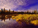 Automne Scenic Parc National Mont-Riding (Manitoba), Canada