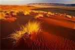 Sand Dunes with Grass Tiras Mountains