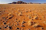 Wüste mit Gräsern Tiras Mountains Namibia Afrika