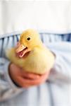 Girl Holding Duckling