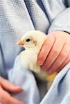 Mädchen Holding Chick