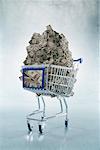 Shopping Cart Full of Money