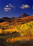 Herbst Sonnenaufgang Alberta, Kanada