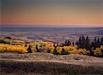 Autumn Scenic Cypress Hills Provincial Park Alberta, Canada