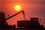 Silhouettes of Farm Machinery