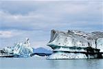 Iceberg Alsek Lake, Glacier Bay National Park, Alaska, USA