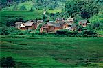 Village by Rice Paddy Madagascar