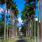 Codrington College Barbados, West Indies