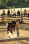 Leconfield Jackarro & Jillaroo School, New South Wales Australia