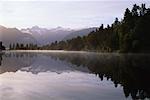 Réflexions sur la lac Matheson Westland National Park South Island, Nouvelle-Zélande