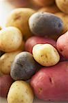 Close-Up of Assorted Potatoes