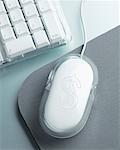 Computer Mouse with Dollar Sign