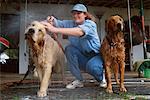 Woman Washing Dogs