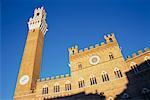 Piazza del Campo de Sienne, Toscane, Italie