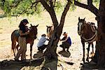 People with Horses Under Trees