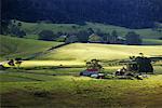 Overview of Farmland in Valley Mystery Bay, New South Wales, Australia