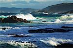 Waves on Shore Mimosa Rocks National Park New South Wales, Australia