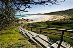 Boardwalk to Beach Salmon Rocks, Cape Conran Coastal Park, Victoria, Australia