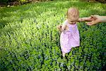 Baby Walking in Field