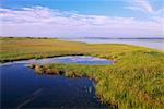 Pocha Pond, Chappaquiddick Island Massachusetts, USA