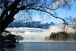 Montagnes et le brouillard au lac Wakatipu, Queenstown, île du Sud, Nouvelle-Zélande