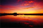 Sunrise, Pantanal, Transpantaneira, Brazil