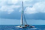 Trimaran Sailboat