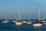 Boote im Hafen Boston Hafen, Boston, Massachusetts, USA