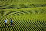 Two Girls Walking Bikes Through Wheat Field