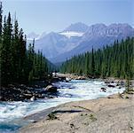 Canyon Mistaya, Parc National Banff, Alberta, Canada