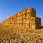 Piles de balles de foin