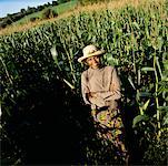 Portrait of Woman in Cornfield