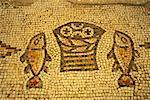 Mosaic Floor, Church of the Multiplication of the Loaves and Fishes, Tabgha, Galilee, Israel