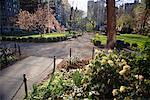 Overview of Urban Park, Gramercy Park, New York City, New York, USA