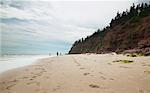 Vue d'ensemble de la plage, Basin Head Provincial Park, Prince Edward Island, Canada